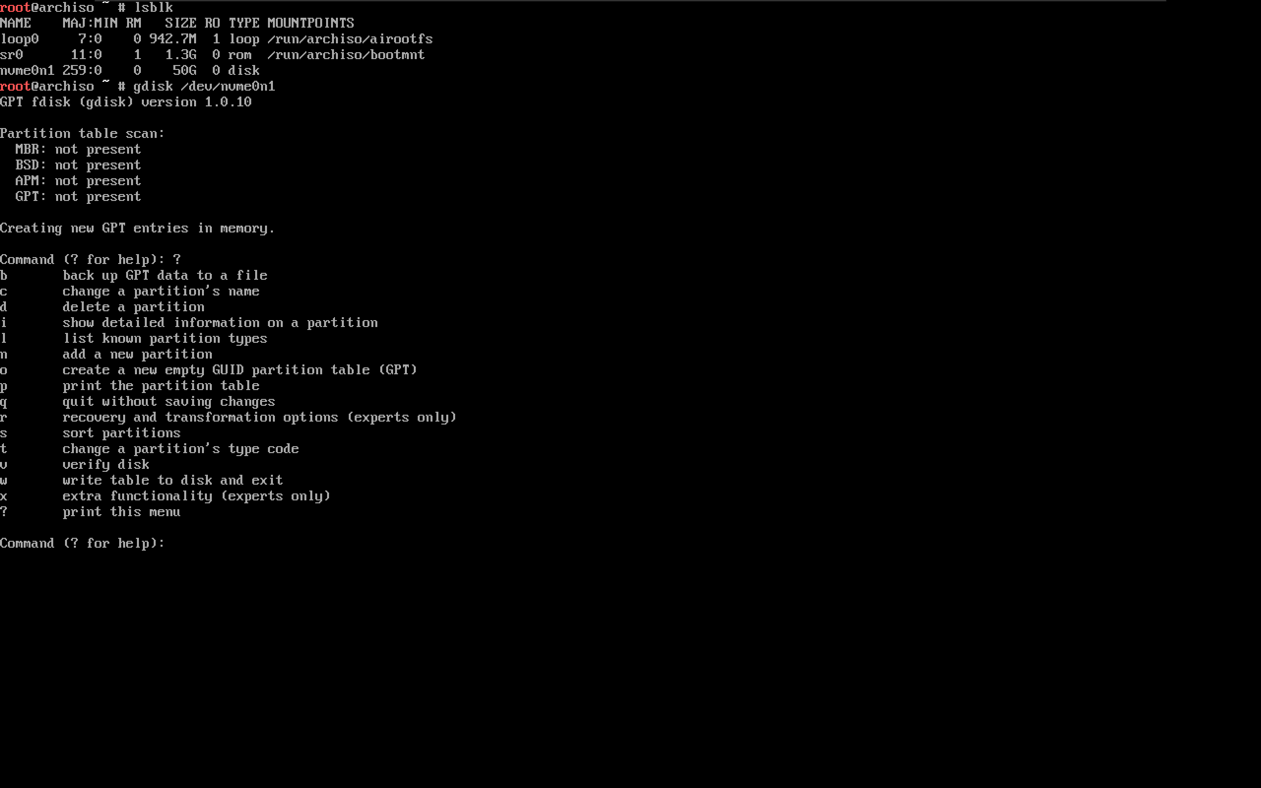 使用 gdisk 开始分区